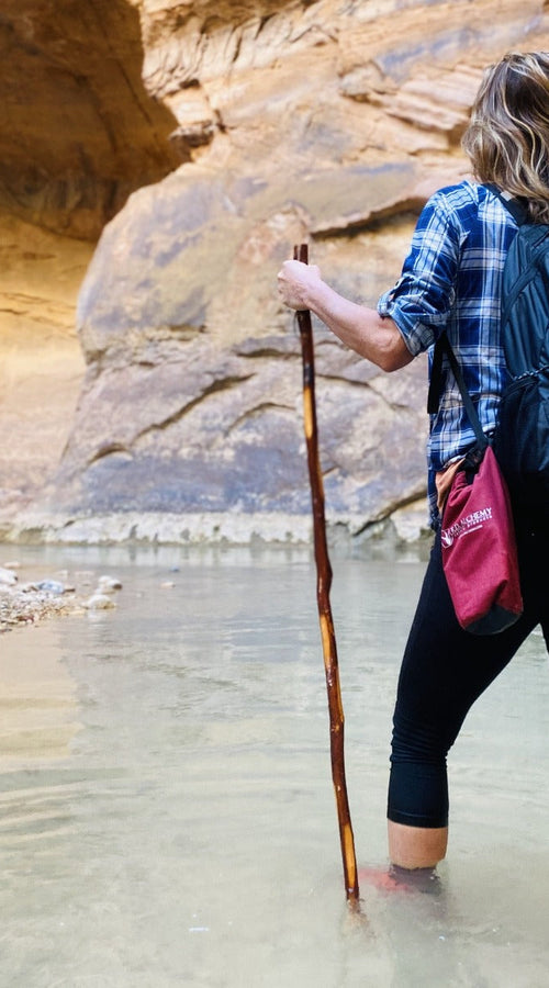 Load image into Gallery viewer, ADVENTURE BAG
