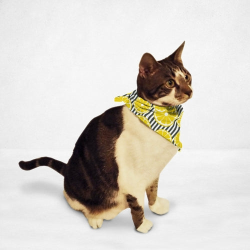 Load image into Gallery viewer, fresh lemons cat &amp; dog bandana
