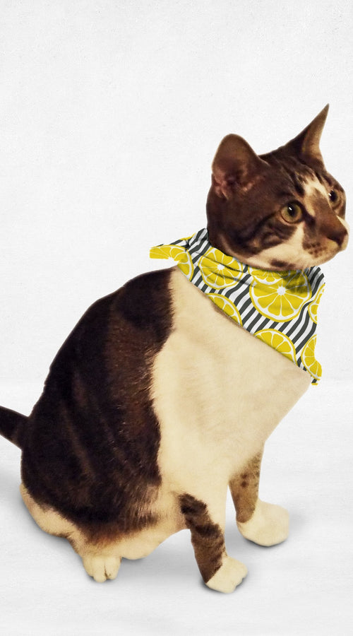 Load image into Gallery viewer, fresh lemons cat &amp; dog bandana
